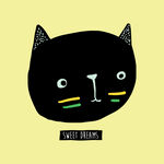 卡通猫  