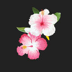 手绘淡彩花朵  