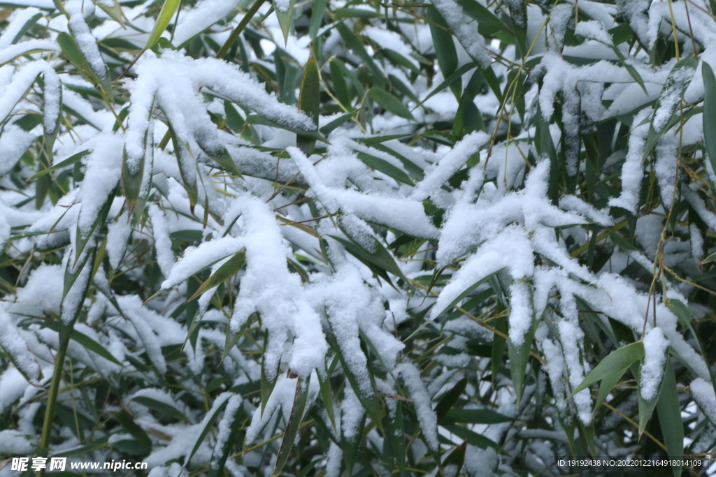 雪景 