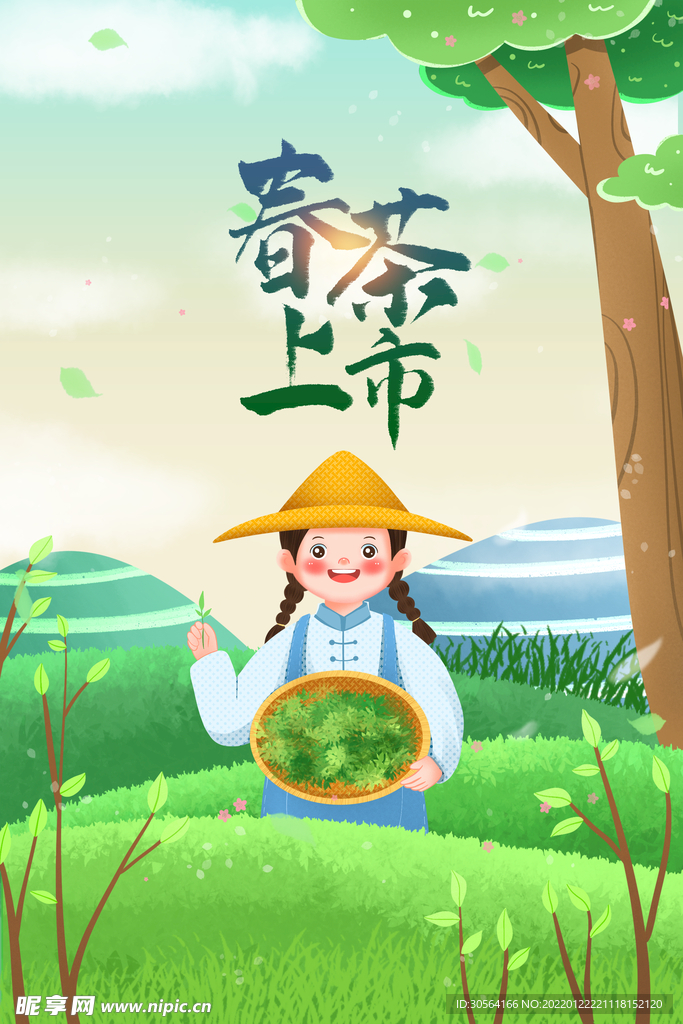 春茶上市