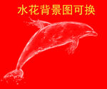 海豚