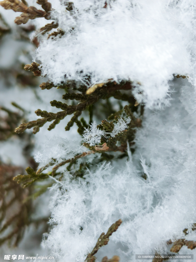 雪