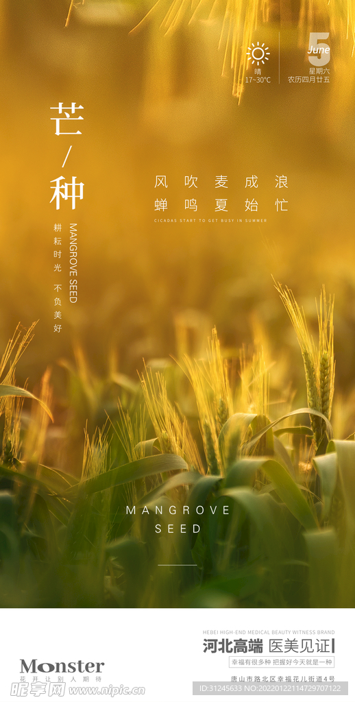 医美芒种节气