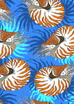 海螺