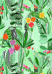 花卉植物