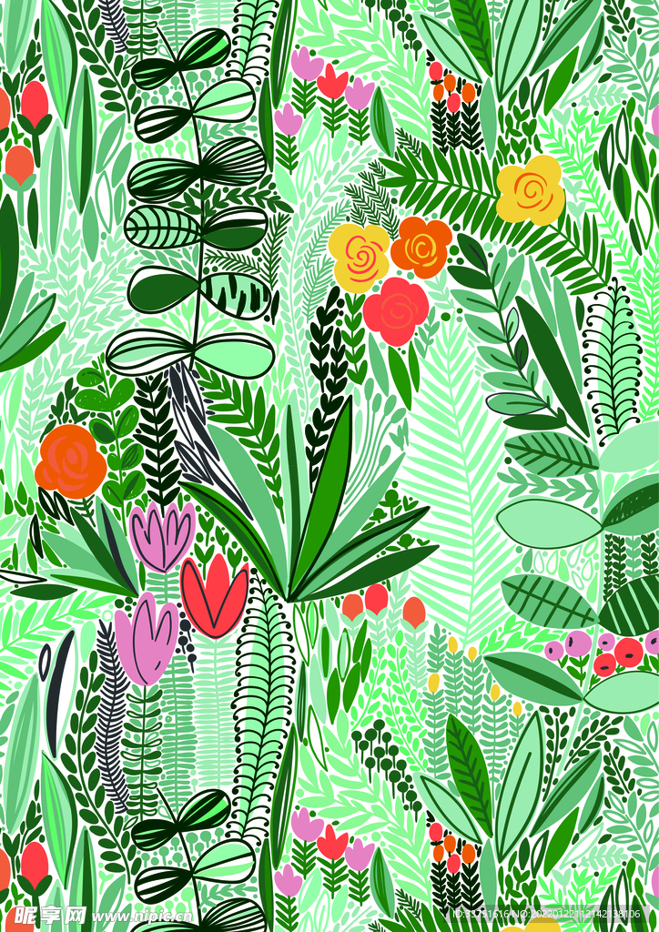 花卉植物