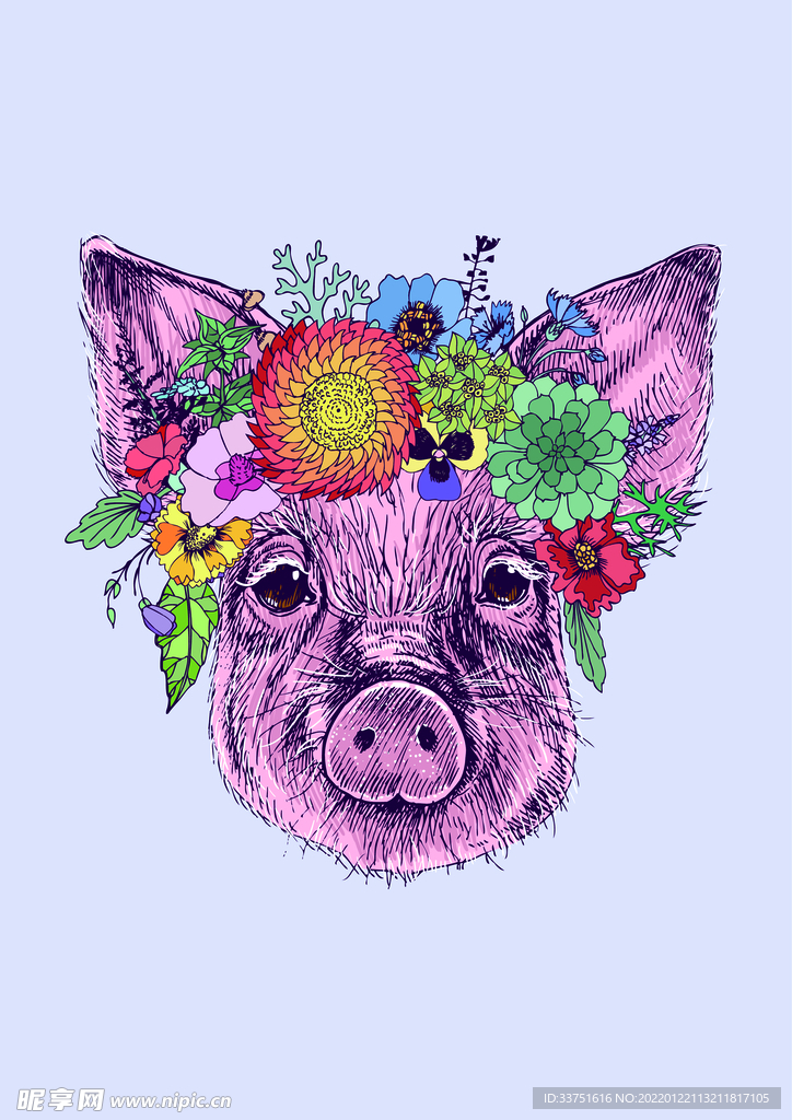 猪花卉