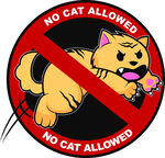 猫咪字母