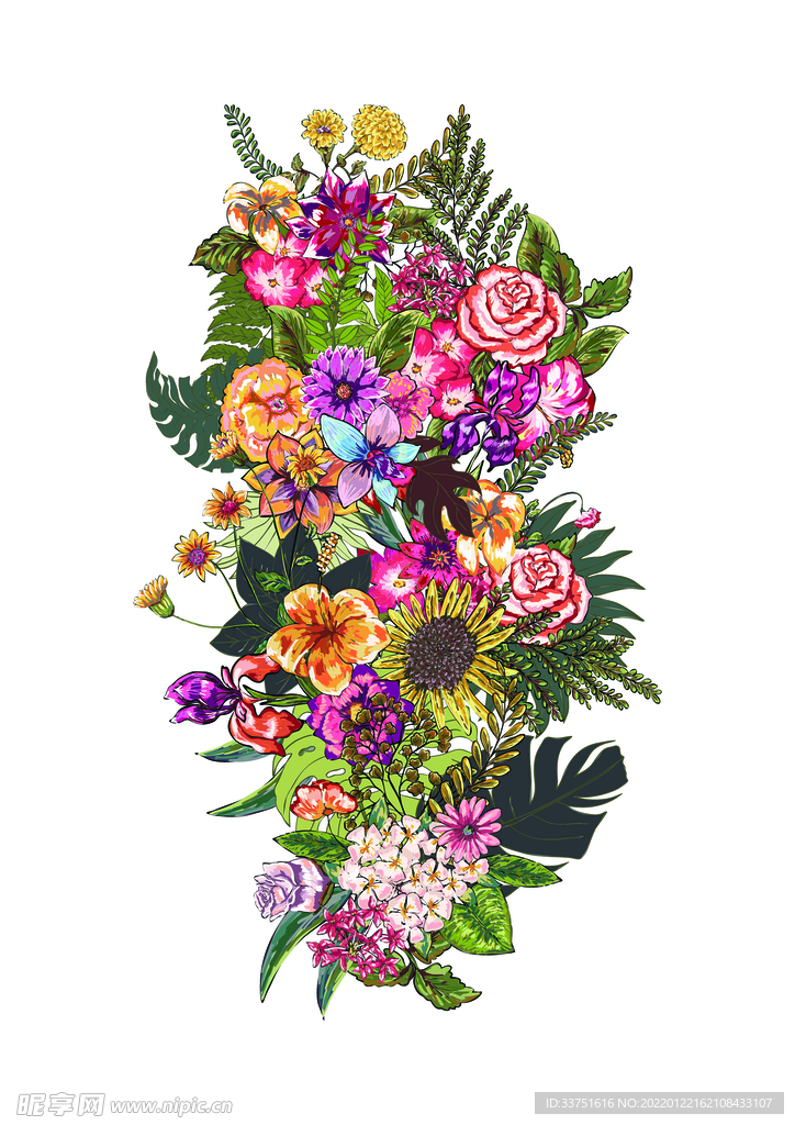 花卉植物