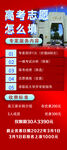 高考志愿怎么填
