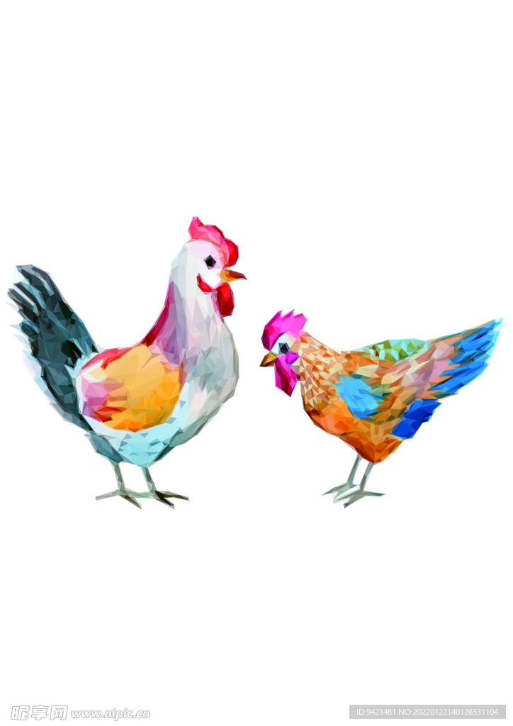 小鸡