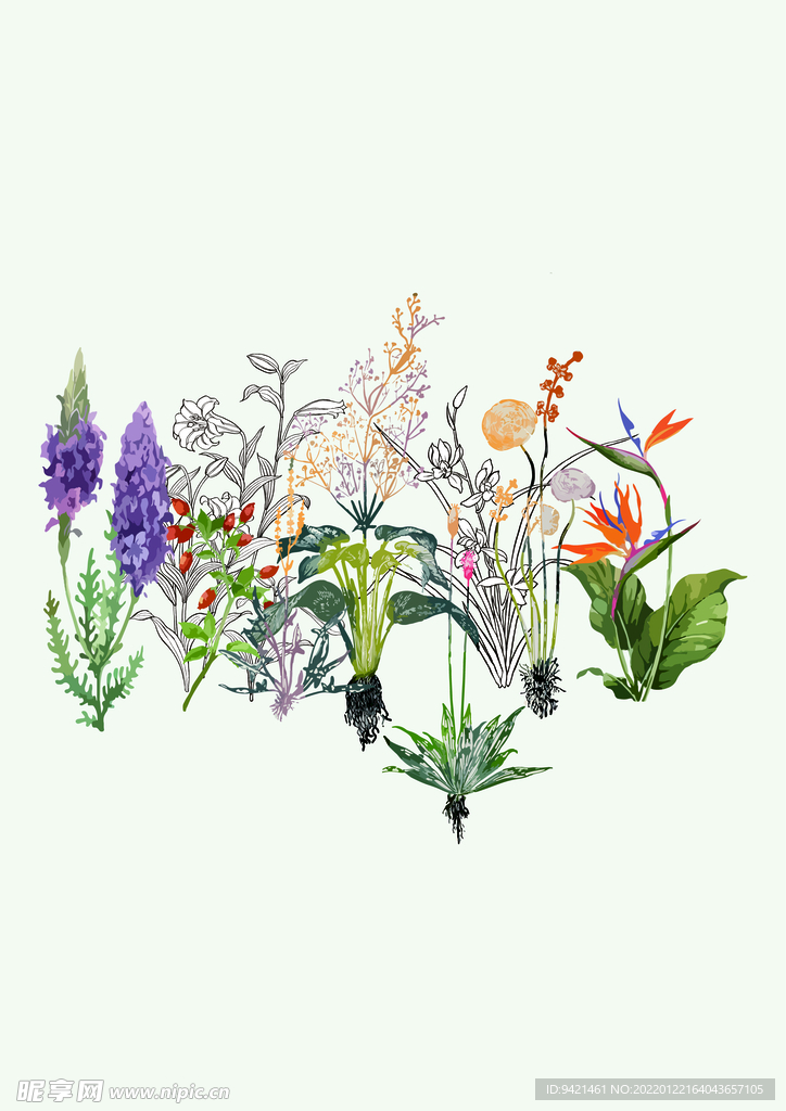 花卉
