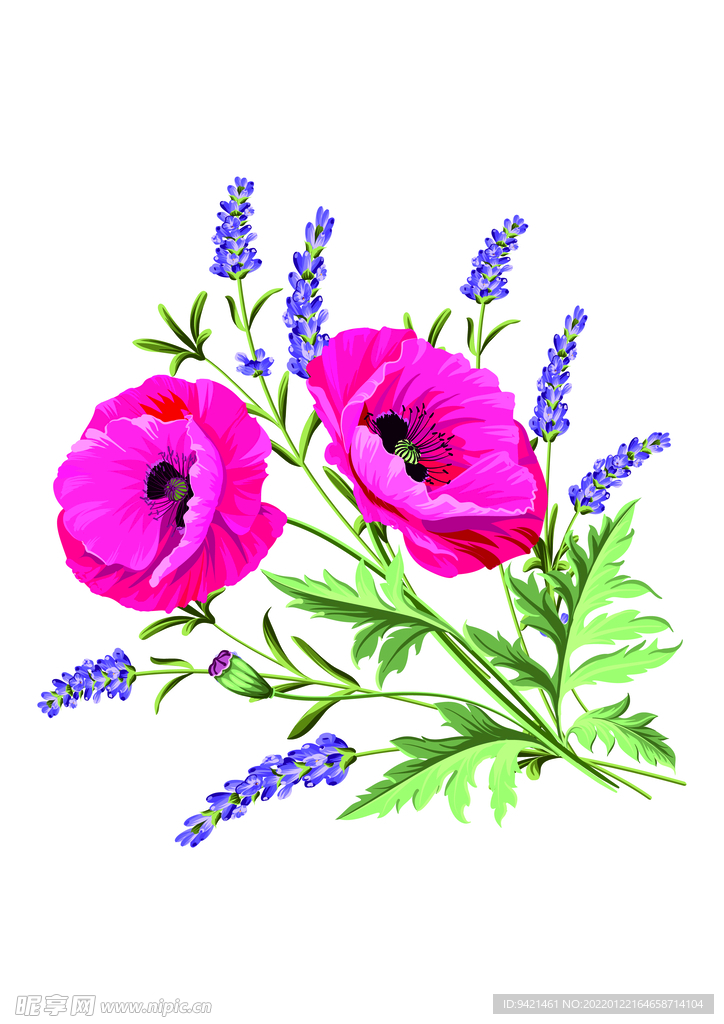 花卉