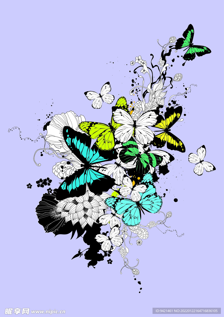 蝴蝶花卉