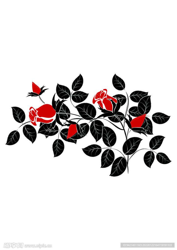 玫瑰花卉