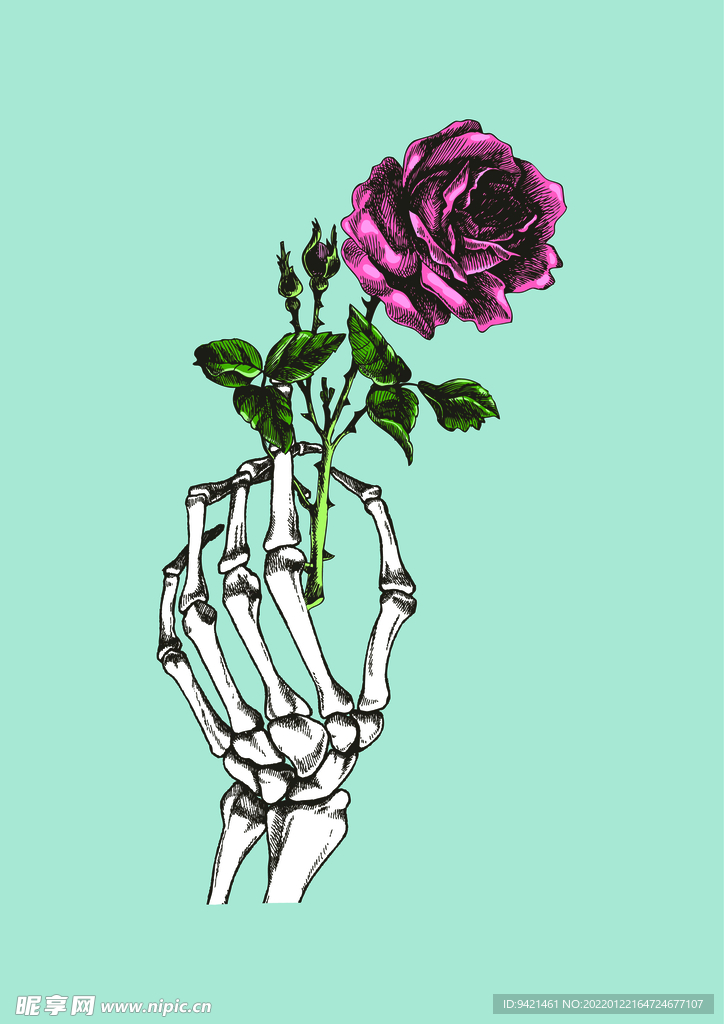 玫瑰花卉