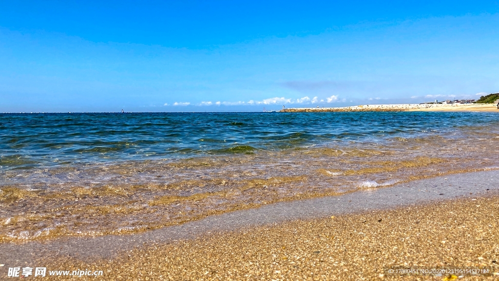 大海