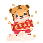 虎年小老虎