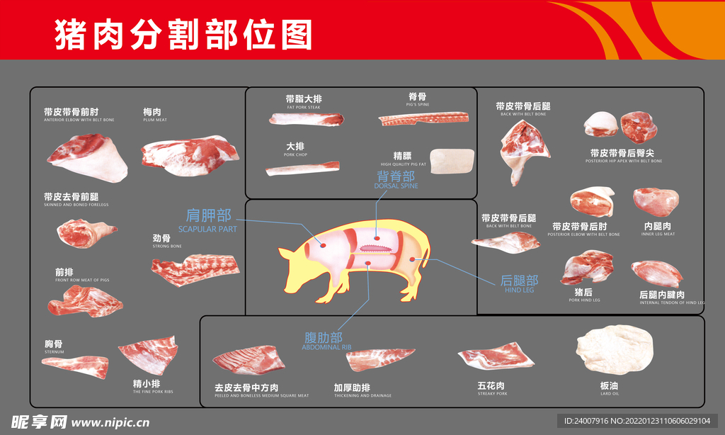 猪肉分割部位图