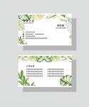 绿色名片