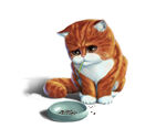 猫-伤心