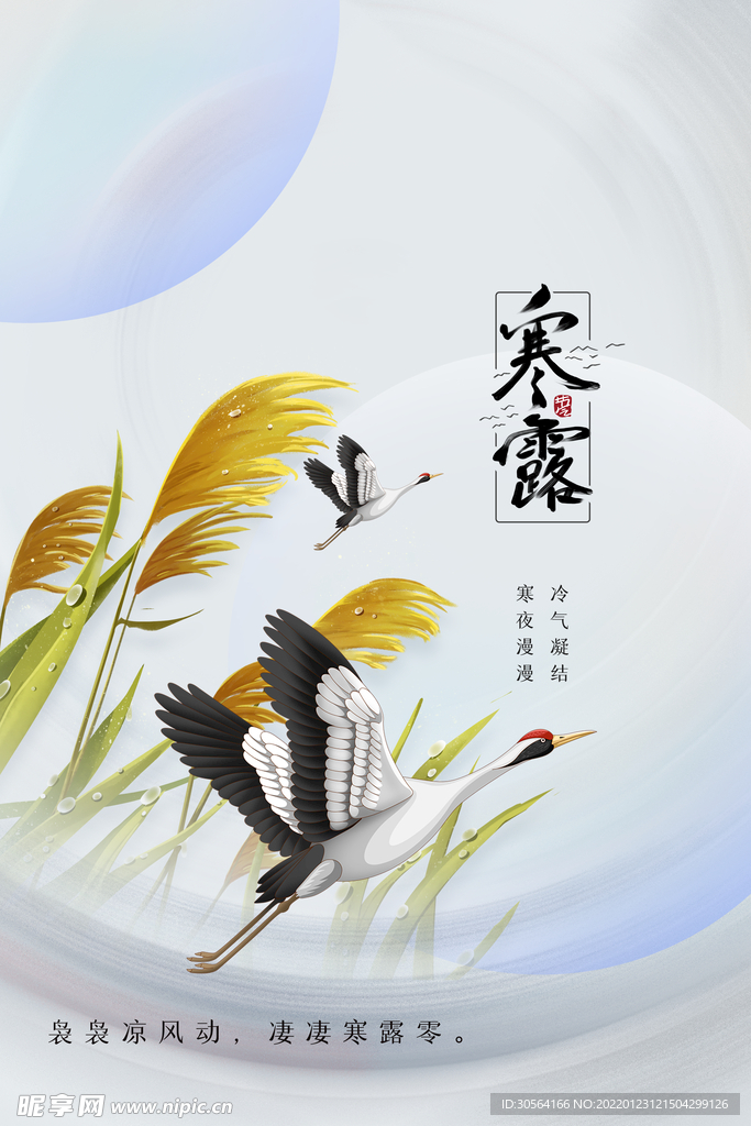 寒露