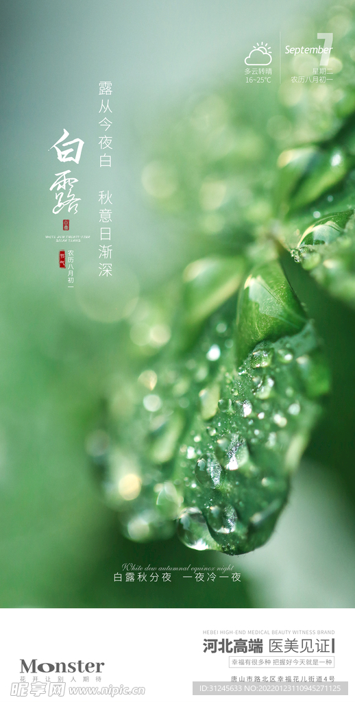 医美白露节气