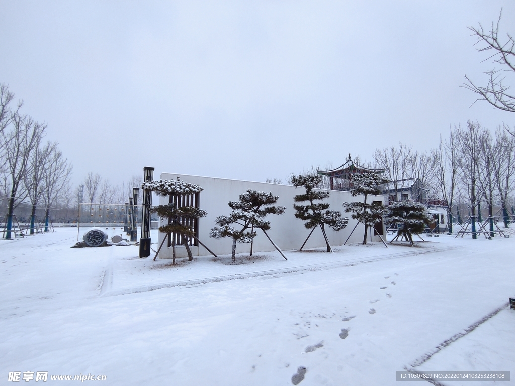 雪景