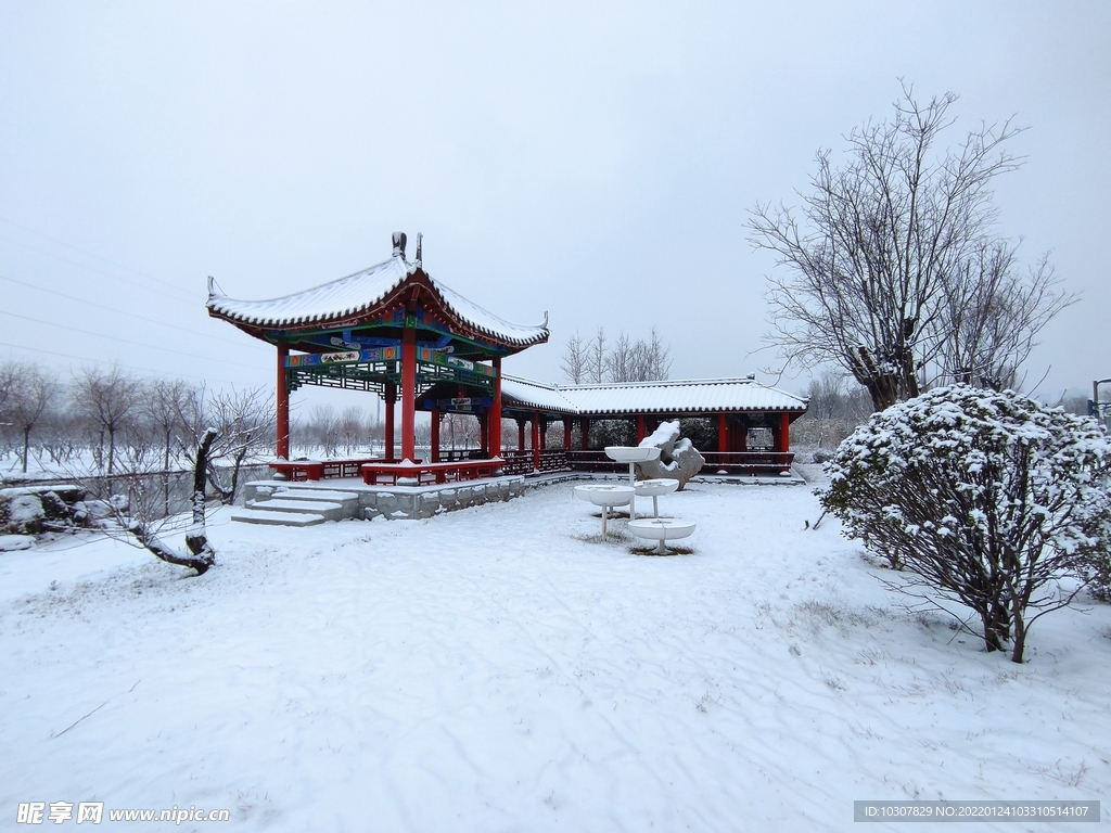 雪景