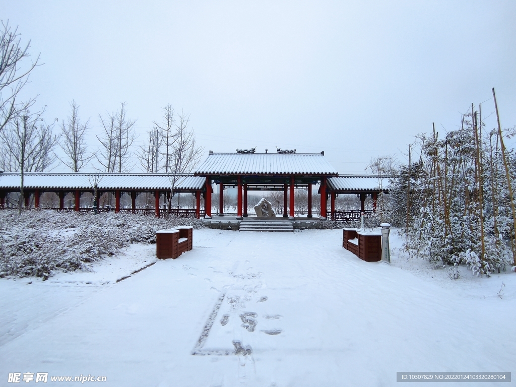 雪景