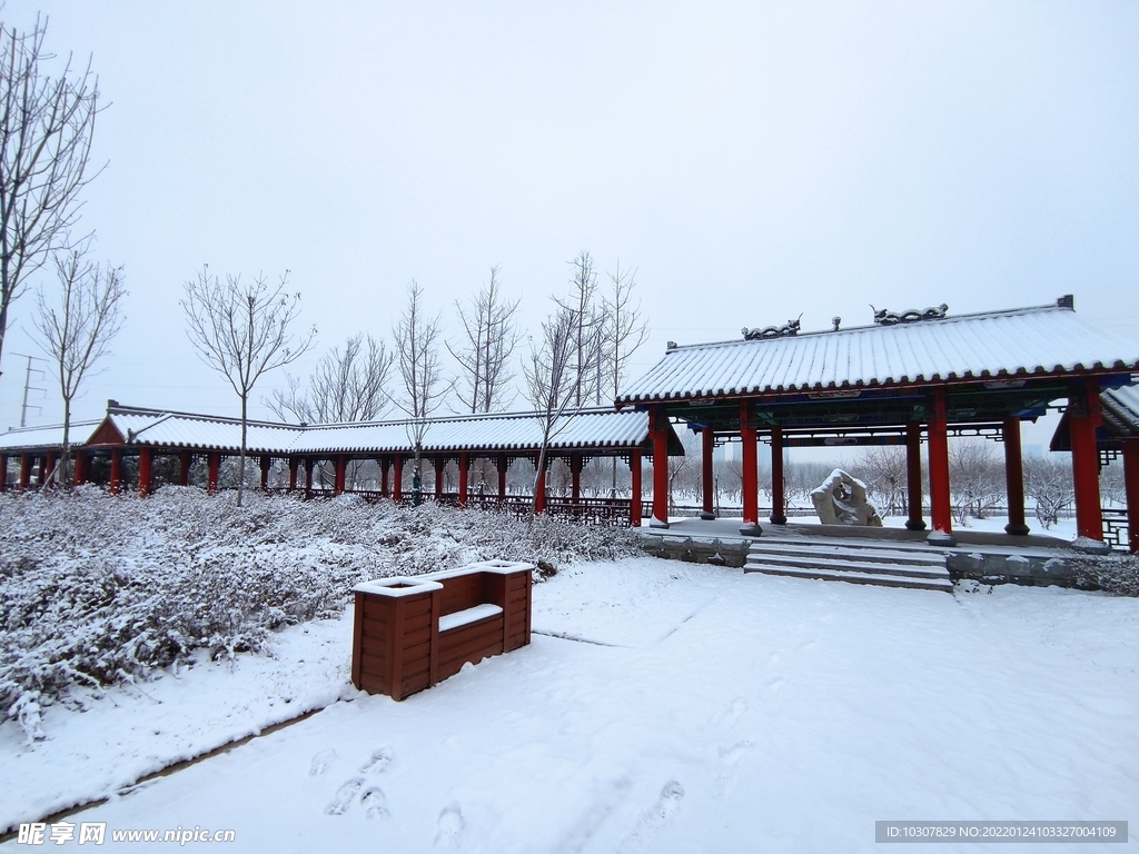 雪景