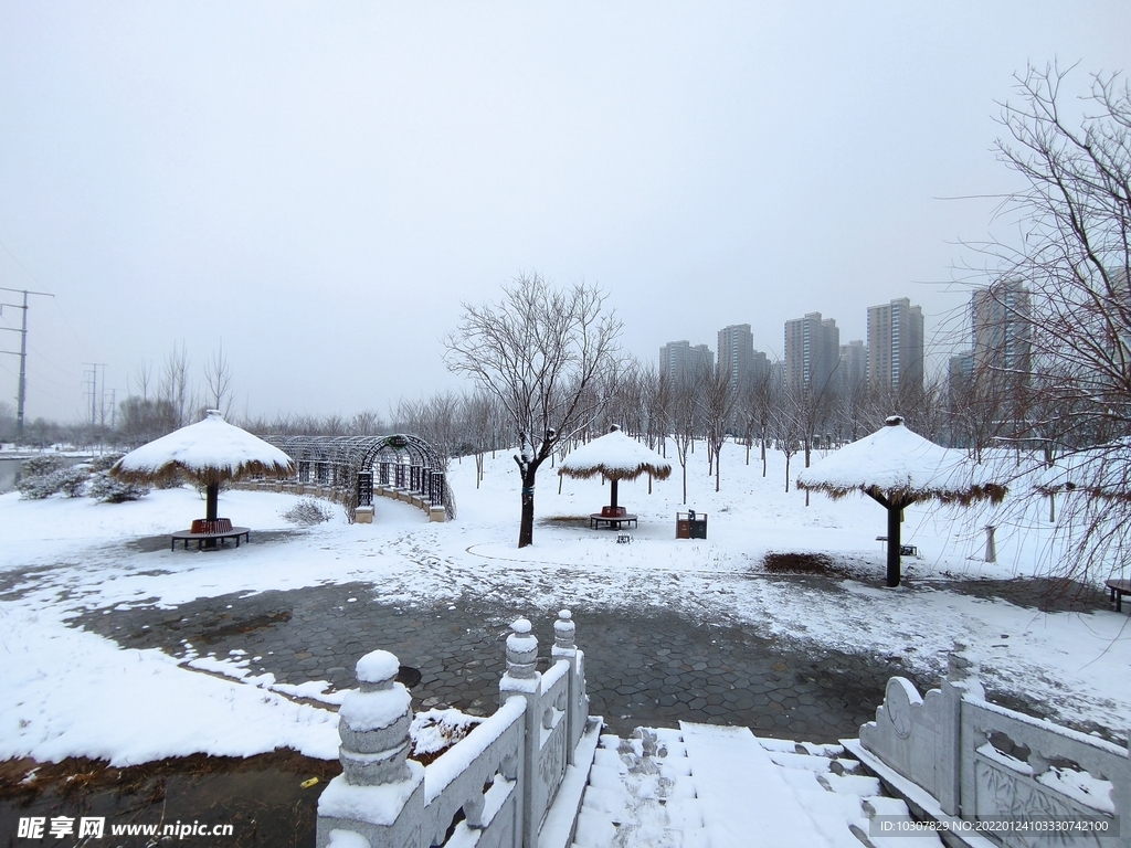 雪景