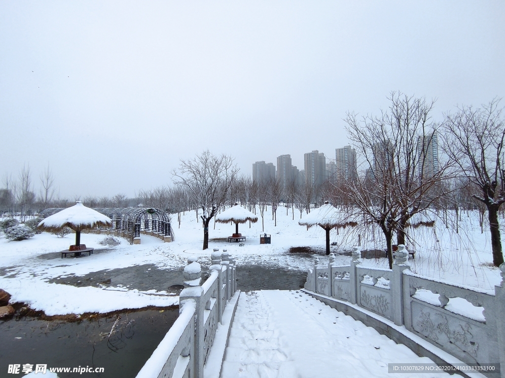 雪景