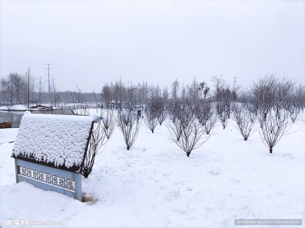 雪景