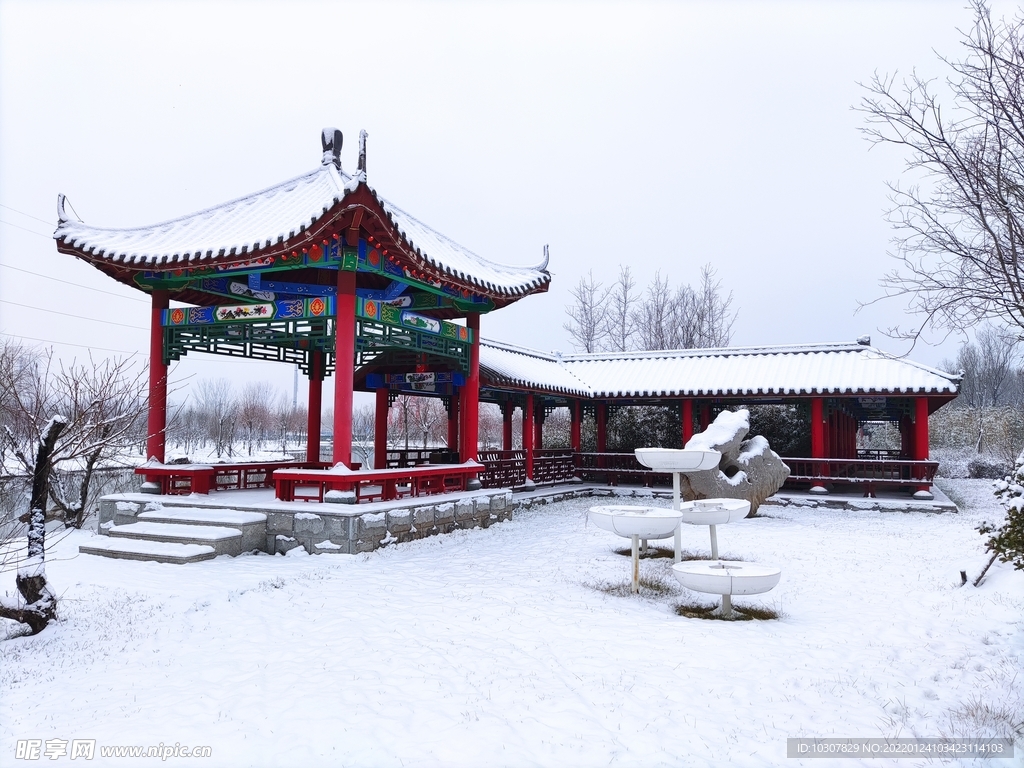 雪景