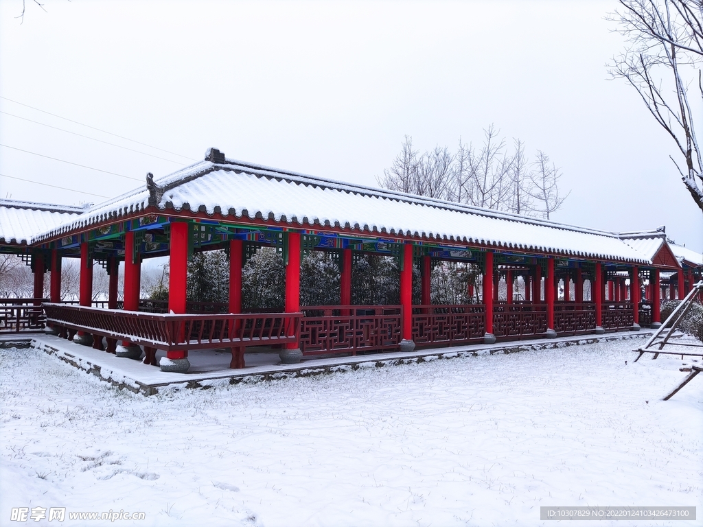 雪景