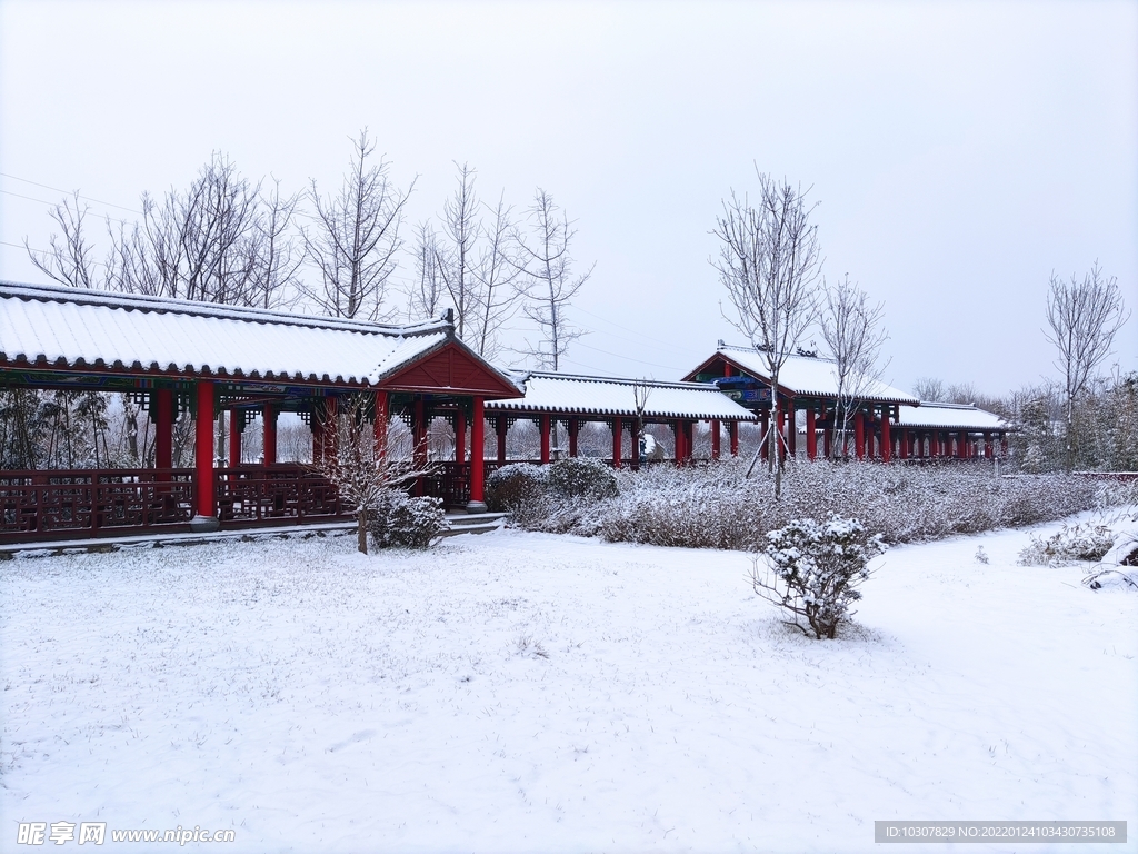 雪景