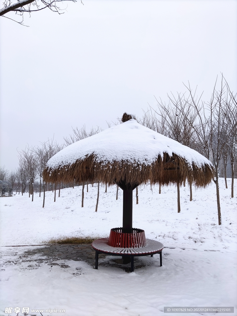 雪景