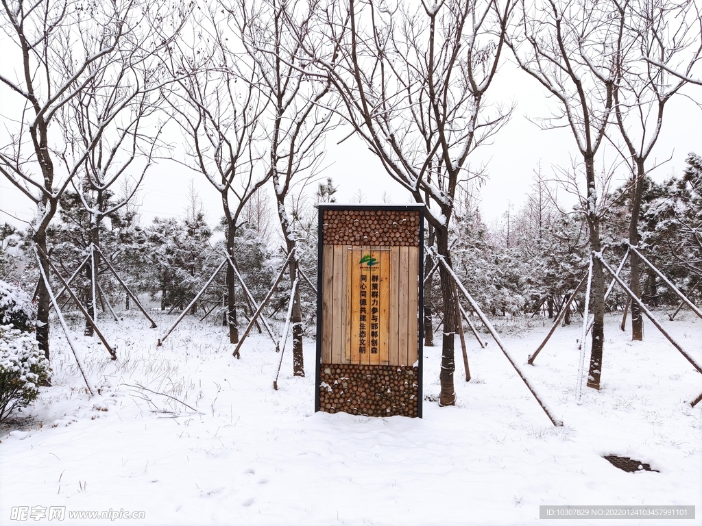 雪景