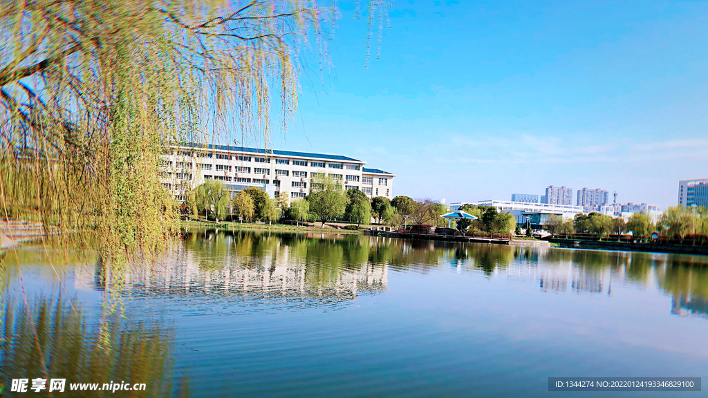 春天风景