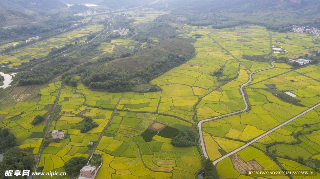 田园风光