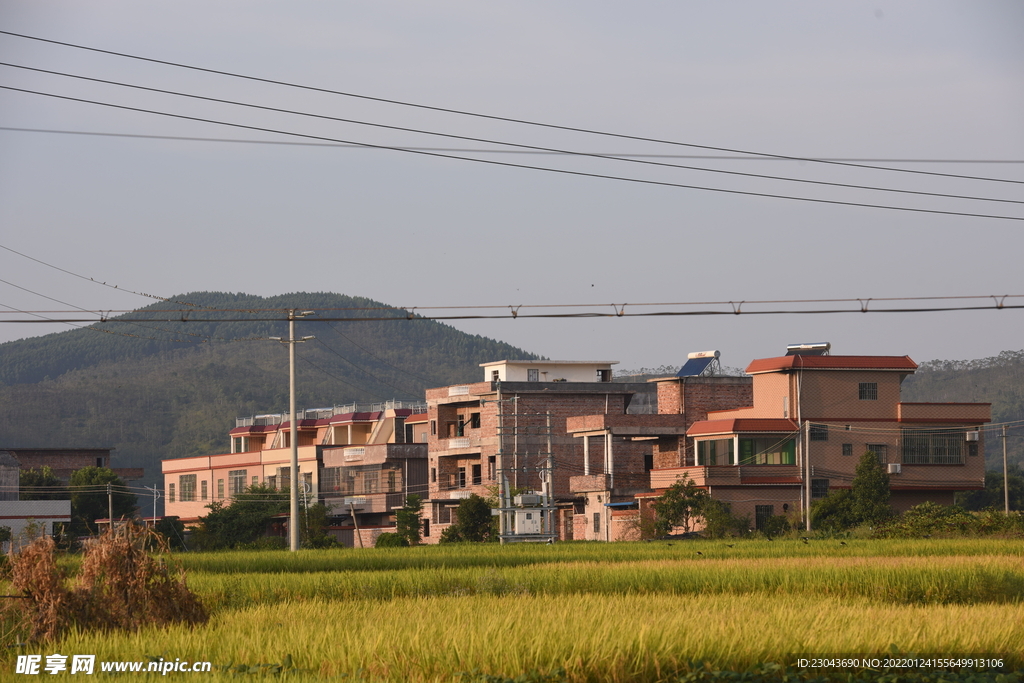 田园风光