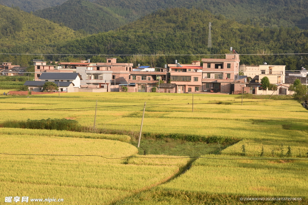 田园风光