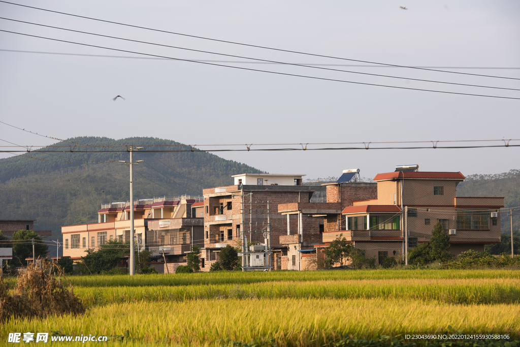 田园风光