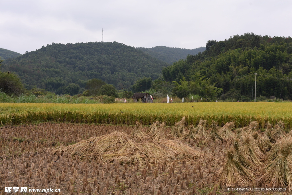 田园风光