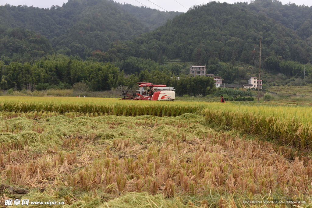 田园风光