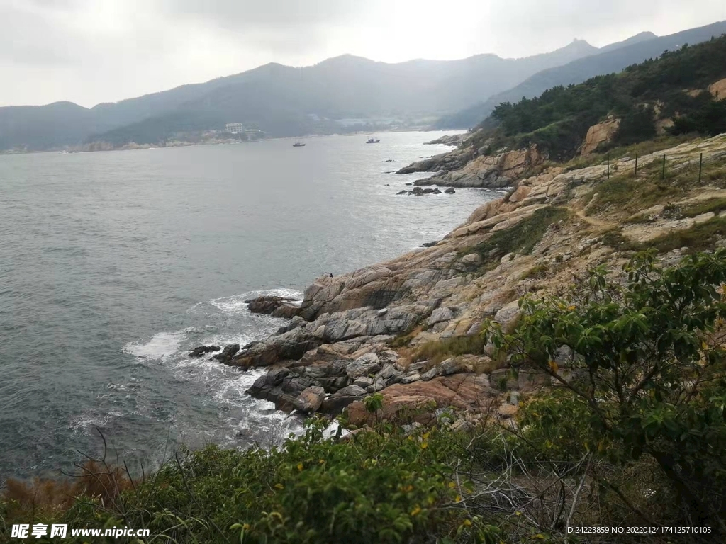 海岸
