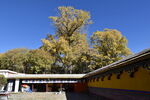 藏式寺庙内部建筑寺院佛教佛寺