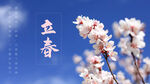 立春海报