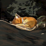 睡觉的小狐狸